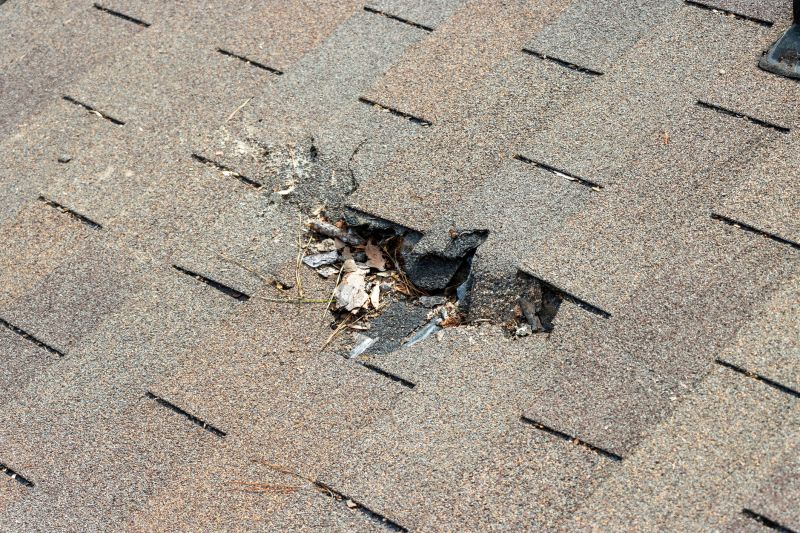 Roof Replacement in Alexandria, VA